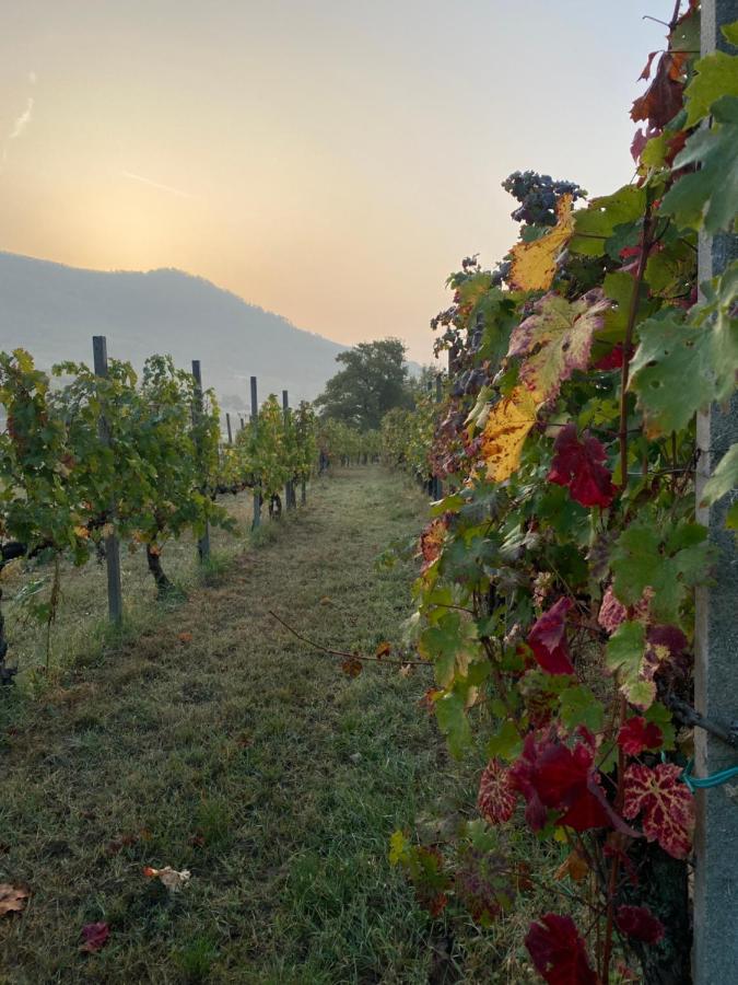 B&B Ai Filari Baone Buitenkant foto