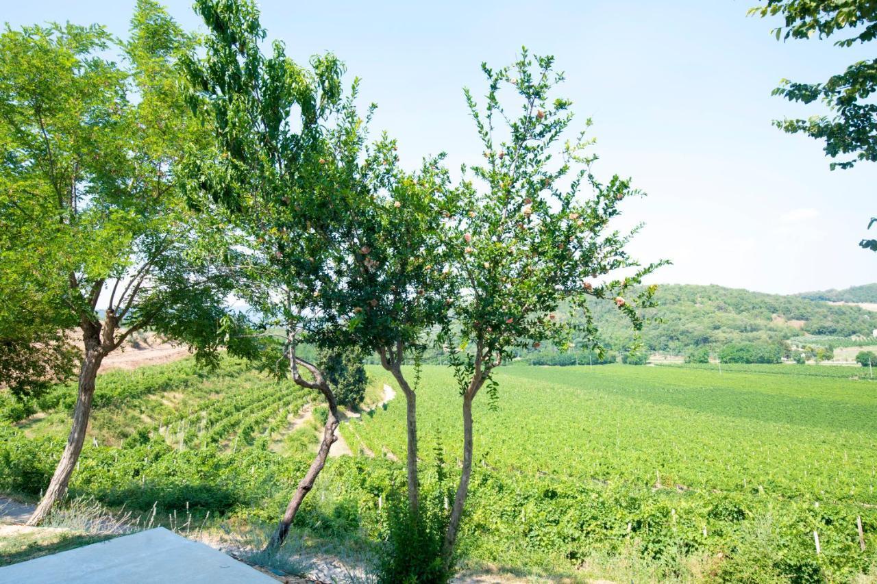 B&B Ai Filari Baone Buitenkant foto